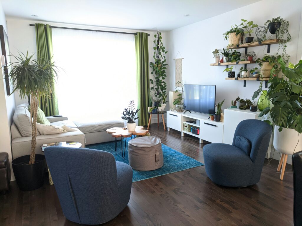 Use Hydrogen Peroxide For Houseplants