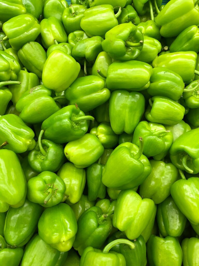 bell pepper from seeds