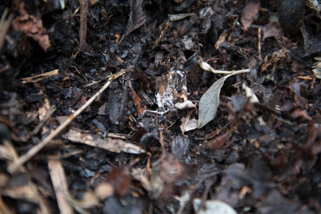 importance of Mulching