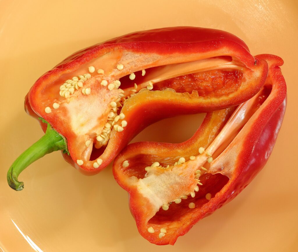 bell pepper from seeds