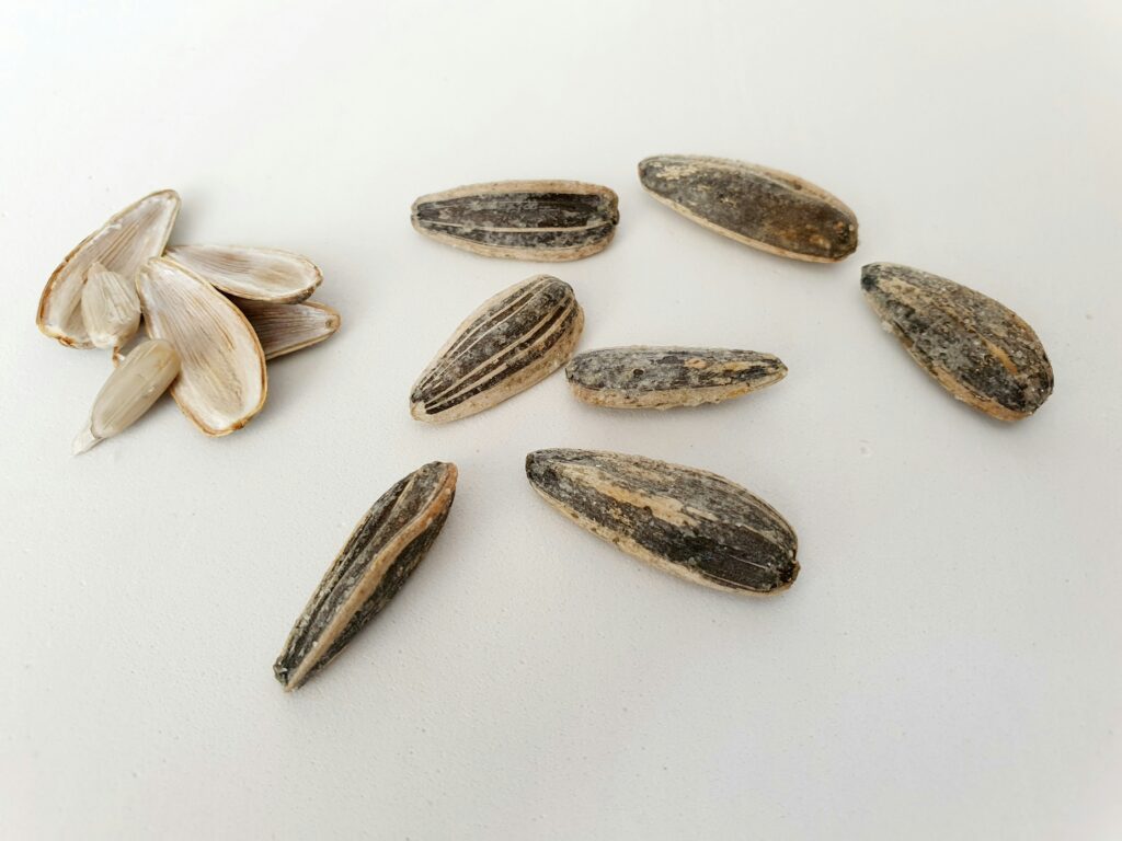 Planting Chive Seeds