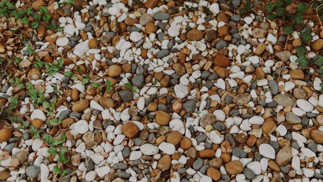 Create a Pebble Tray