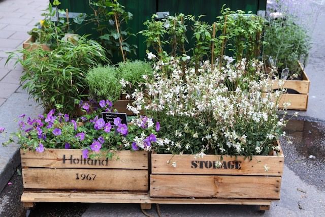 Wood Pallet Garden