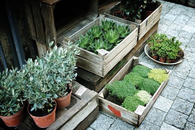Wood Pallet Garden