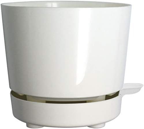 Self-Watering Planters for Indoor Plants