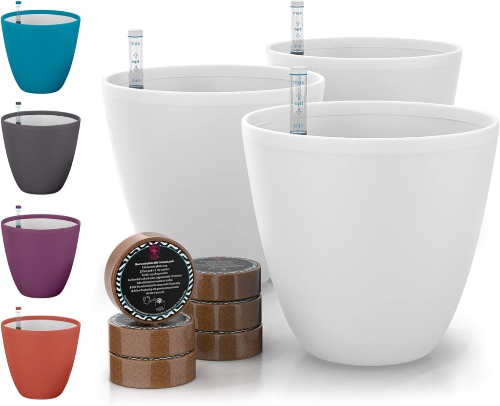 Self-Watering Planters for Indoor Plants