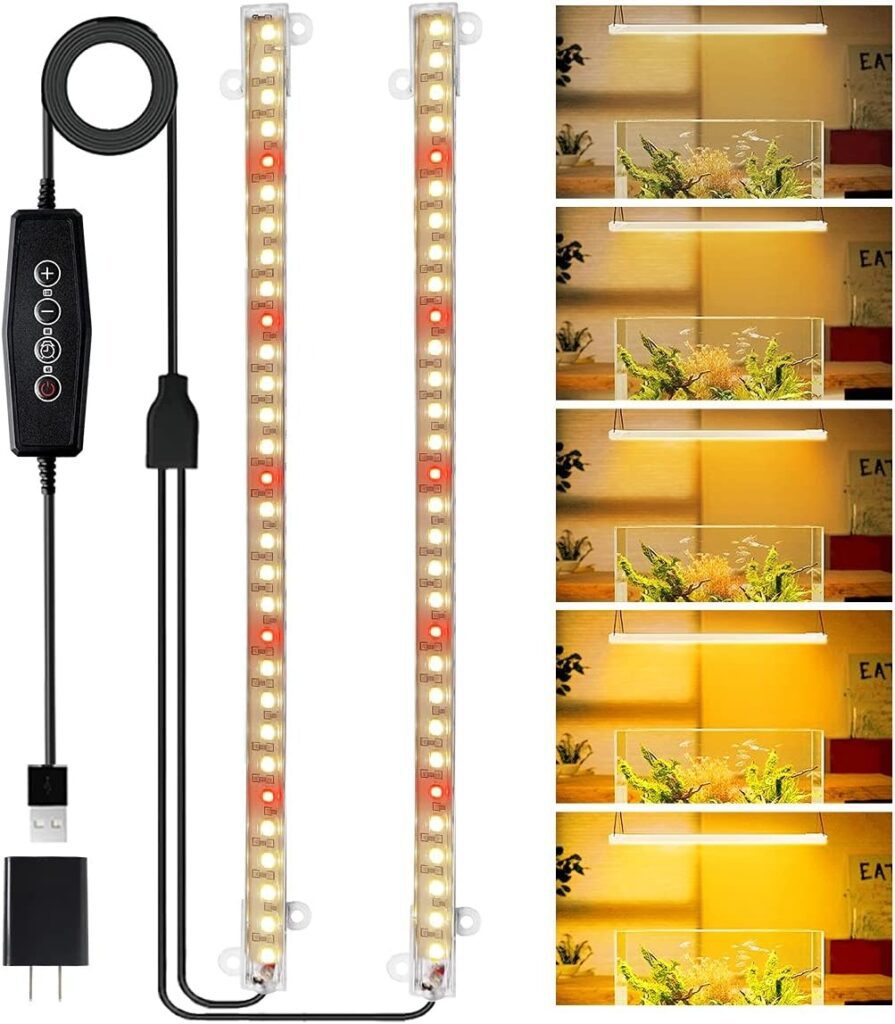 Grow Lights for Succulents