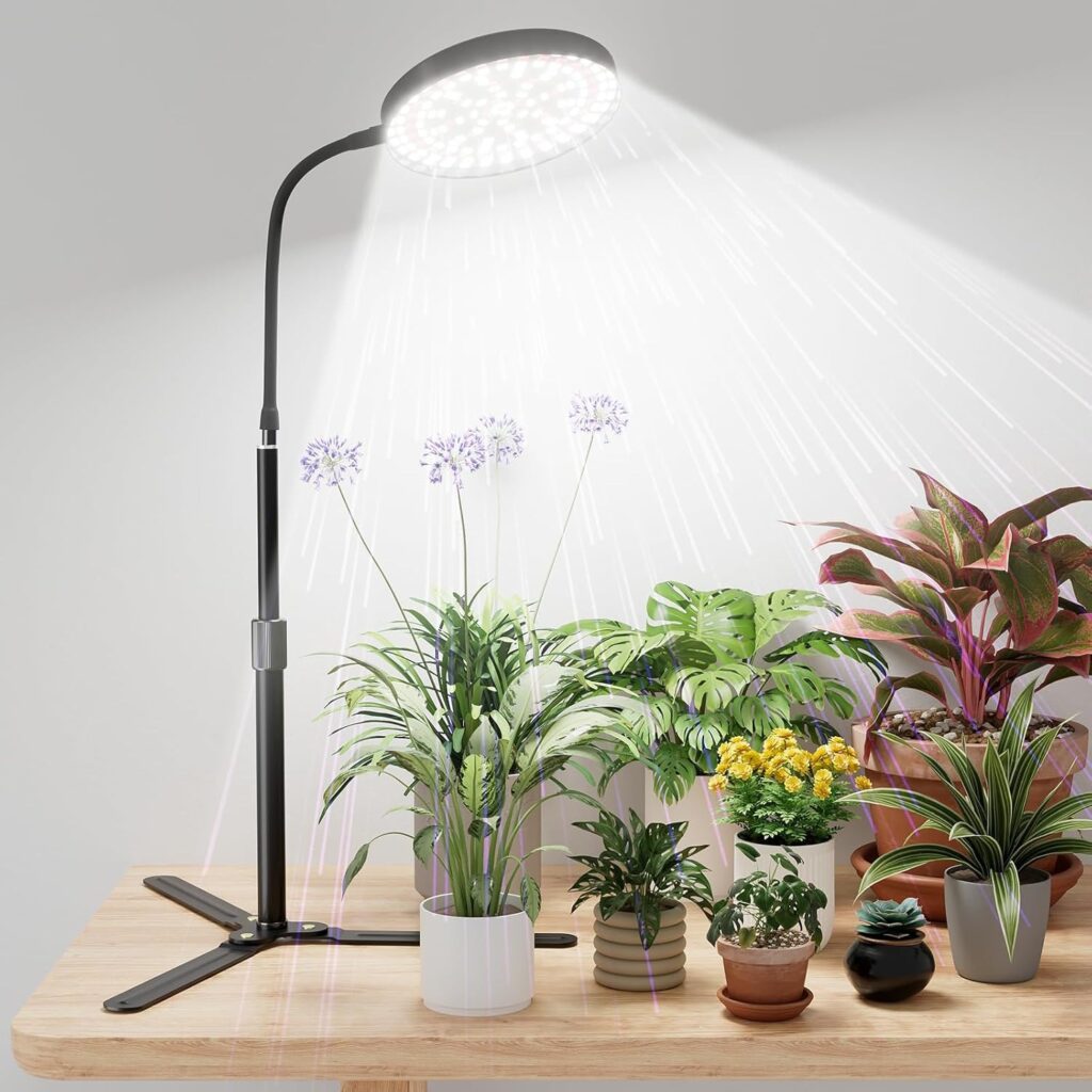 Grow Lights for Succulents