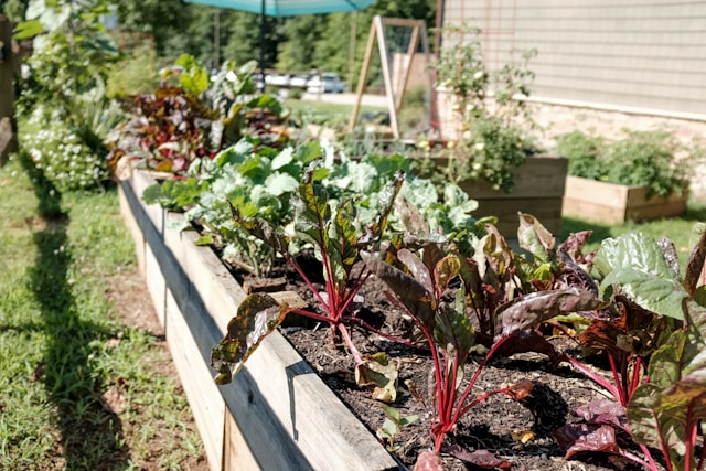 container vegetable garden